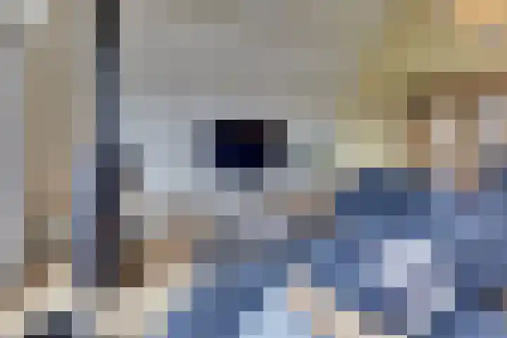 Strekdam 60 Harderwijk thumbnail 18
