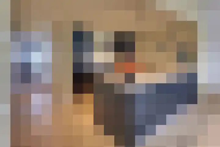 Strekdam 60 Harderwijk thumbnail 32