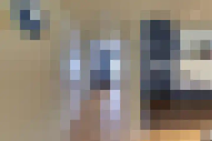 Strekdam 60 Harderwijk thumbnail 33