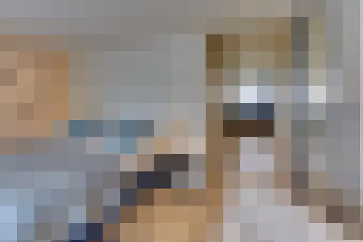 Strekdam 60 Harderwijk thumbnail 35
