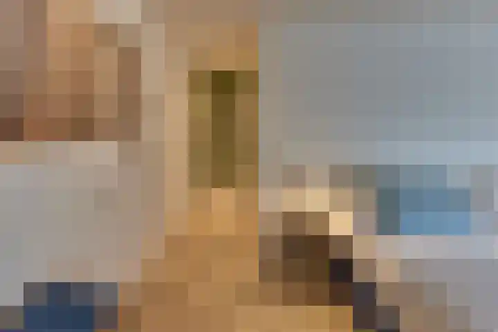Strekdam 60 Harderwijk thumbnail 38