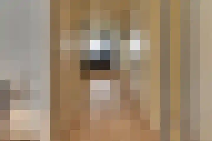Strekdam 60 Harderwijk thumbnail 43