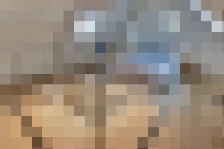 Strekdam 60 Harderwijk thumbnail 45