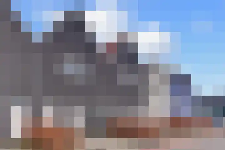 Strekdam 60 Harderwijk thumbnail 5