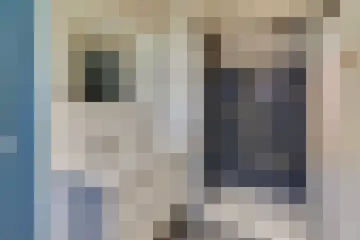 Strekdam 60 Harderwijk thumbnail 50