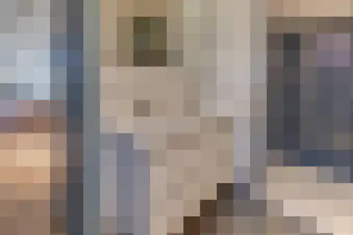 Strekdam 60 Harderwijk thumbnail 51