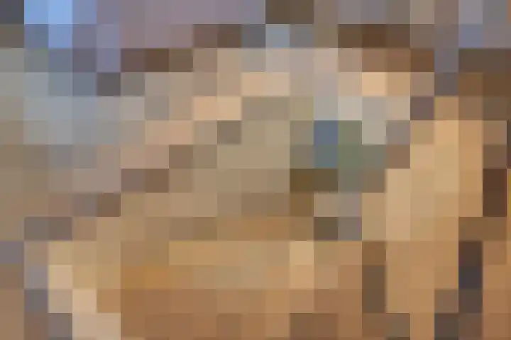 Strekdam 60 Harderwijk thumbnail 53