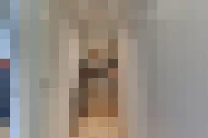 Strekdam 60 Harderwijk thumbnail 55