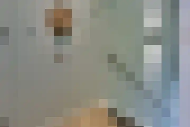 Strekdam 60 Harderwijk thumbnail 56