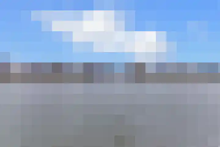 Strekdam 60 Harderwijk thumbnail 71