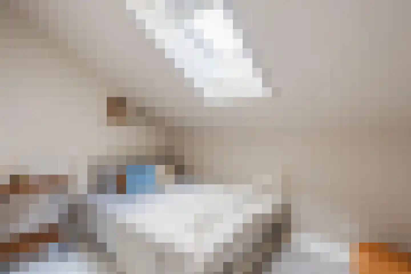 Strekdam 84 Harderwijk thumbnail 35