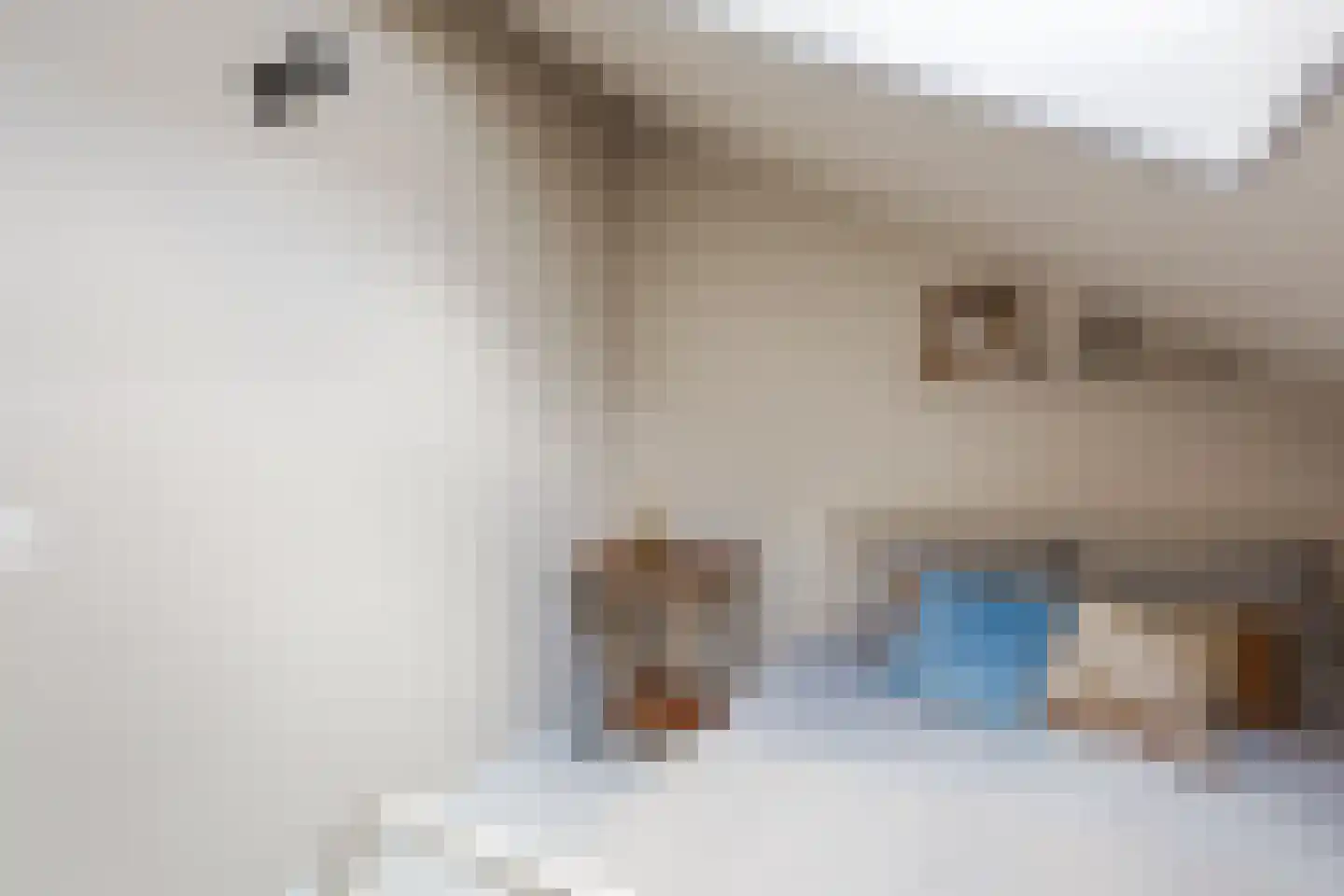 Strekdam 84 Harderwijk thumbnail 36