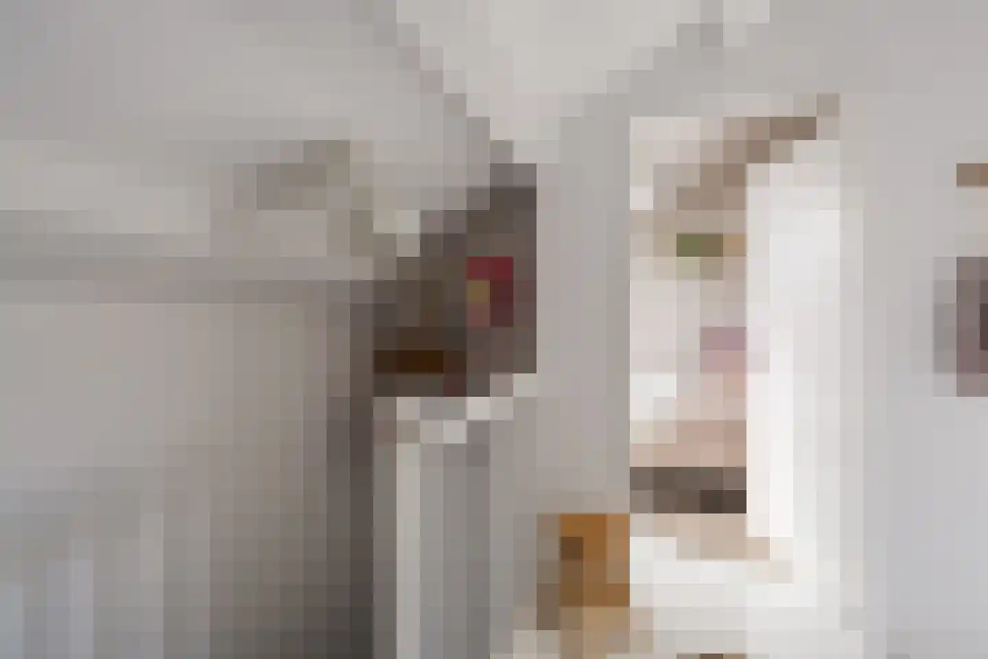 Strekdam 84 Harderwijk thumbnail 38