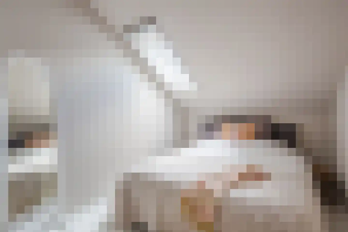 Strekdam 84 Harderwijk thumbnail 43