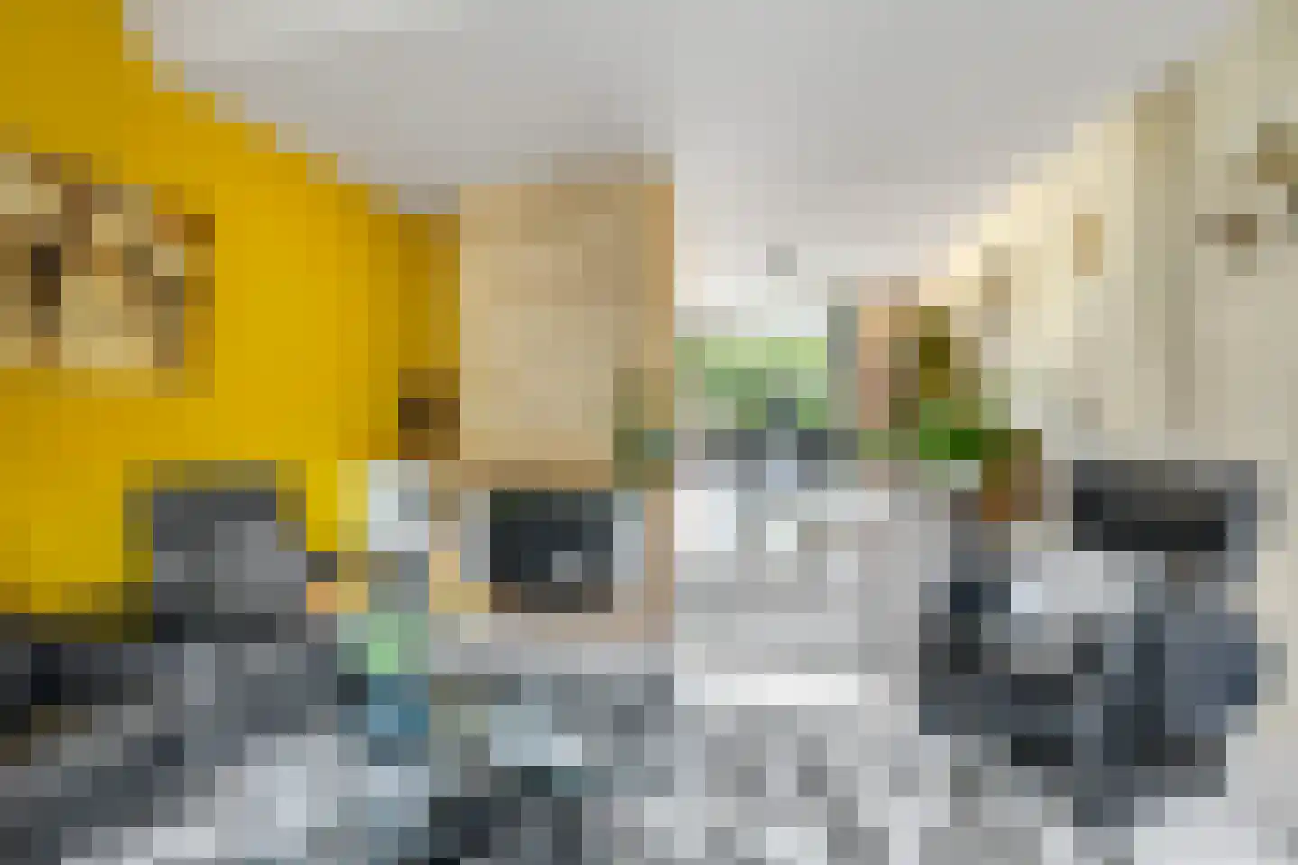 Strekdam 9 Hellevoetsluis thumbnail 28