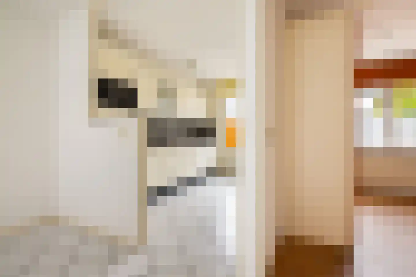 Strekel 16 Oostzaan thumbnail 16