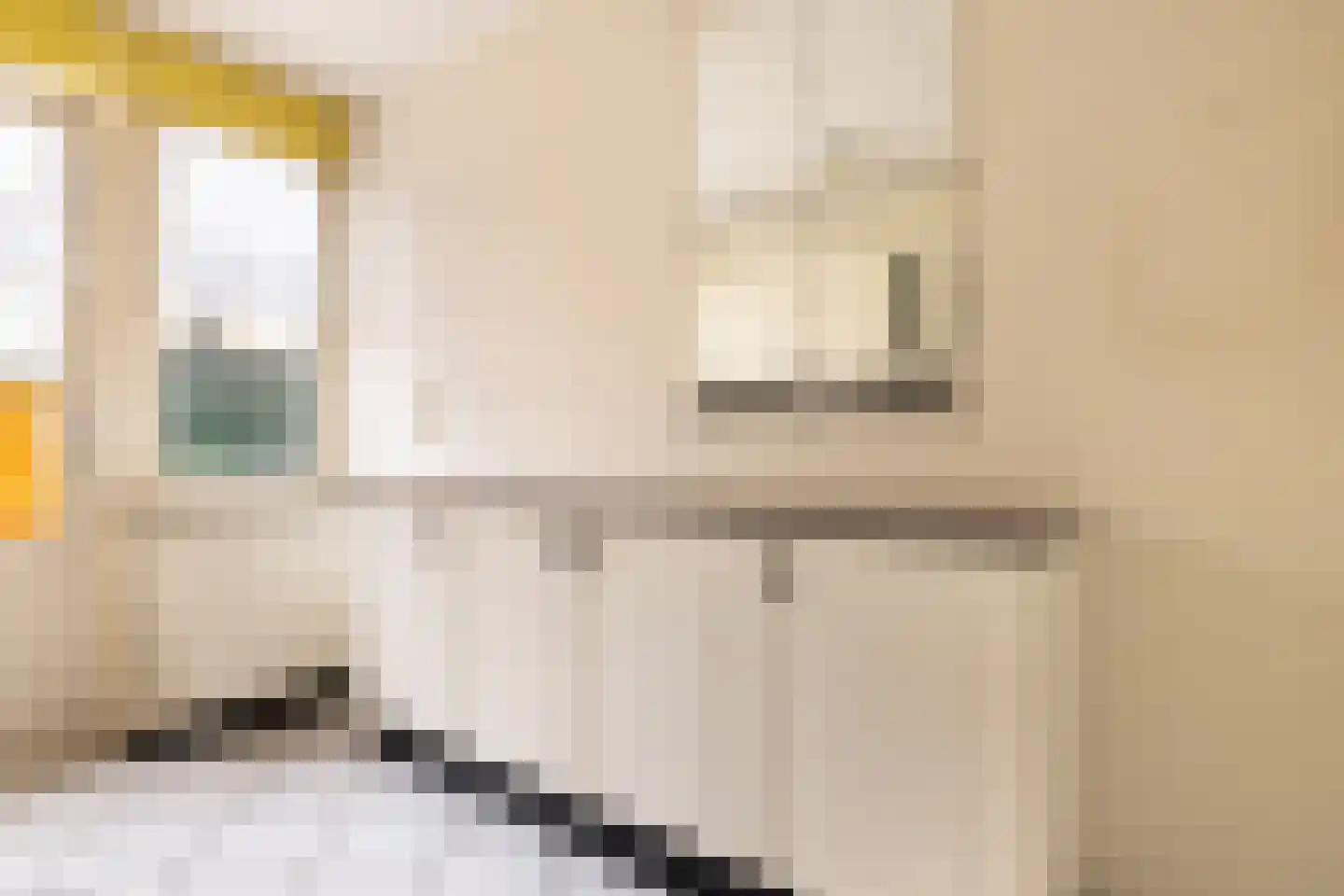 Strekel 16 Oostzaan thumbnail 18