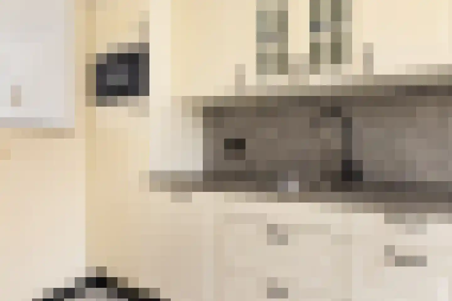 Strekel 16 Oostzaan thumbnail 20