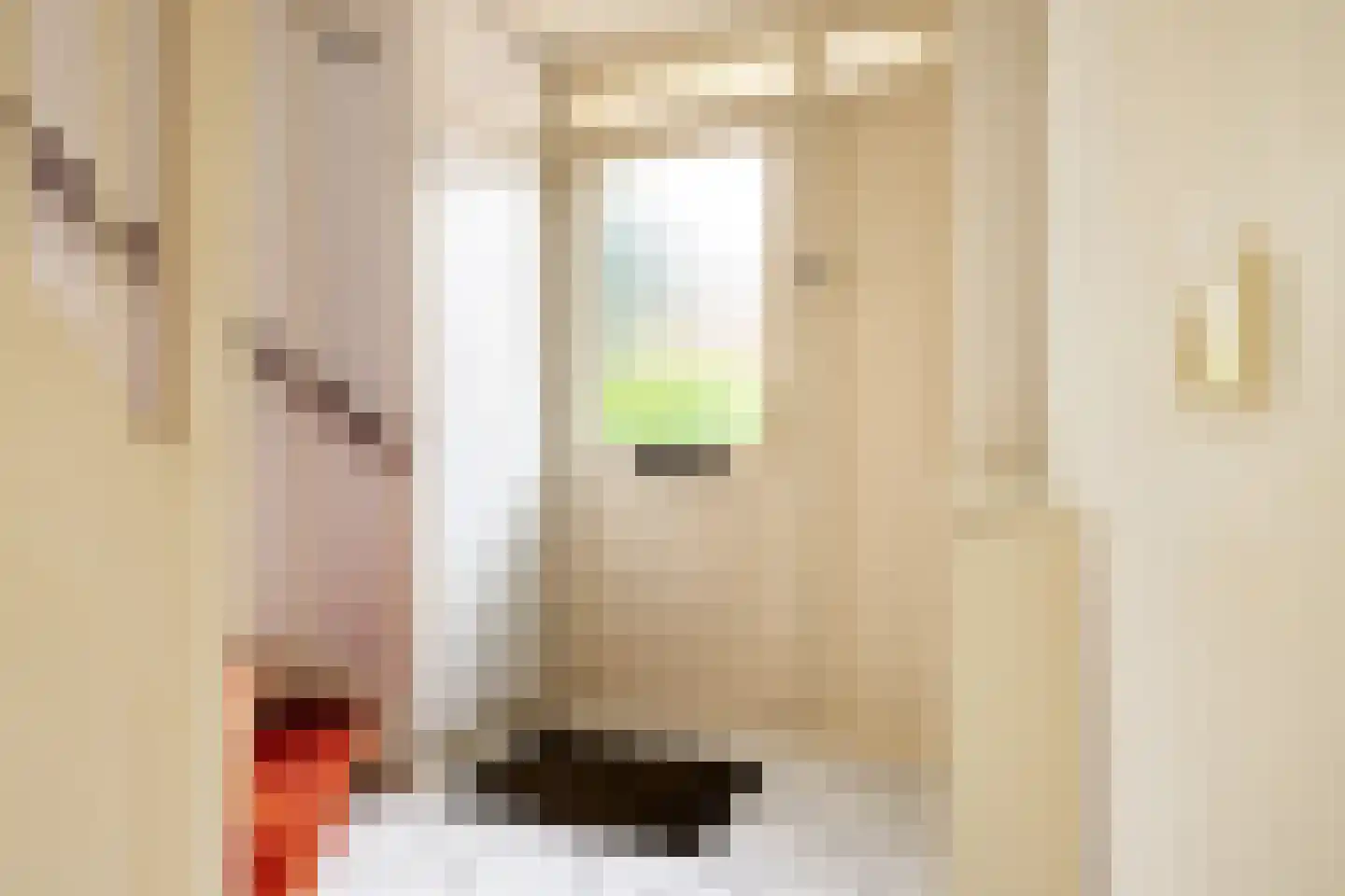 Strekel 16 Oostzaan thumbnail 7
