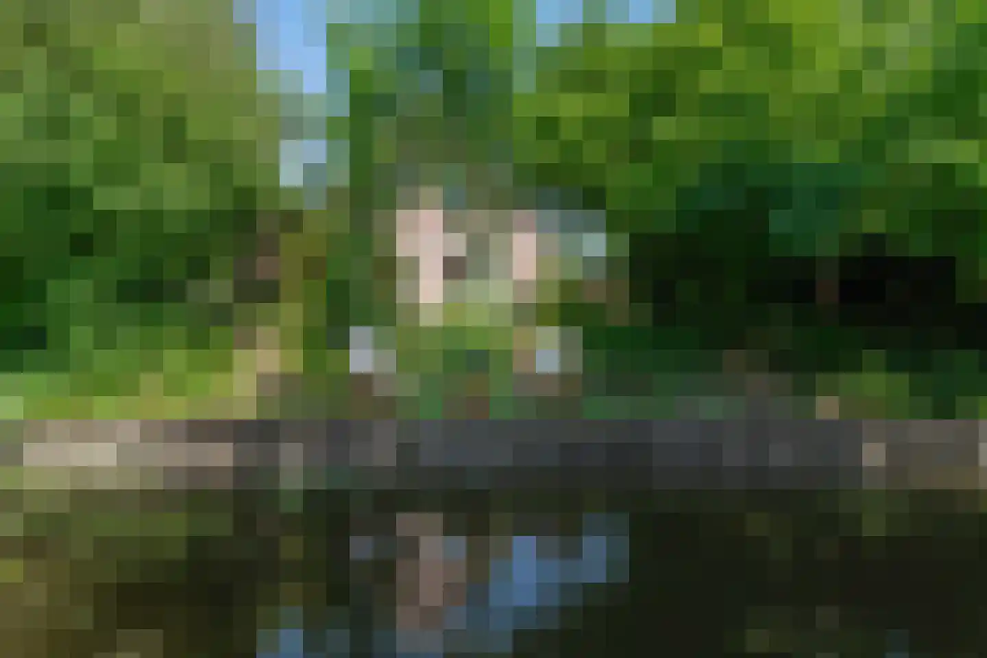 Strekel 2 Bovenkarspel thumbnail 43