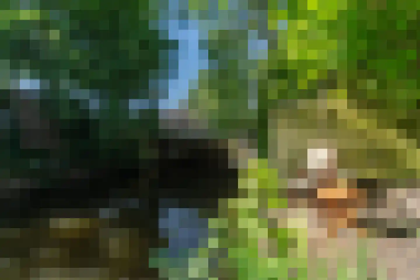 Strekel 2 Bovenkarspel thumbnail 7