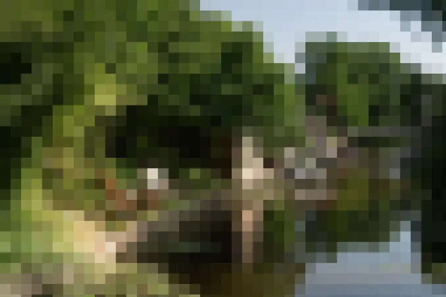 Strekel 2 Bovenkarspel thumbnail 8