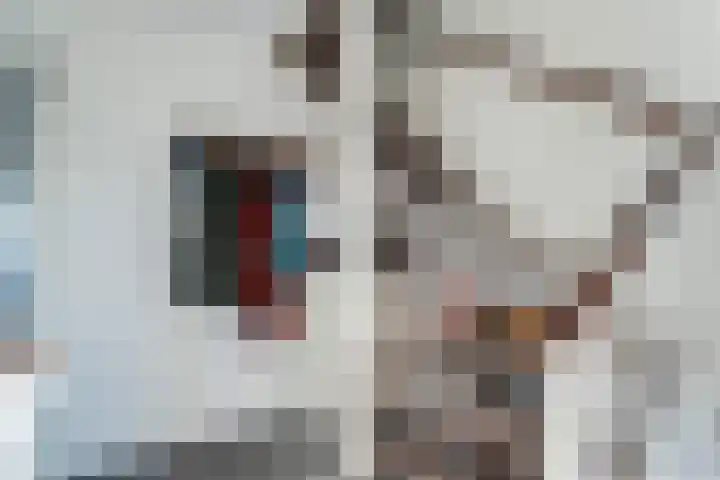 Strekel 20 Delfzijl thumbnail 15