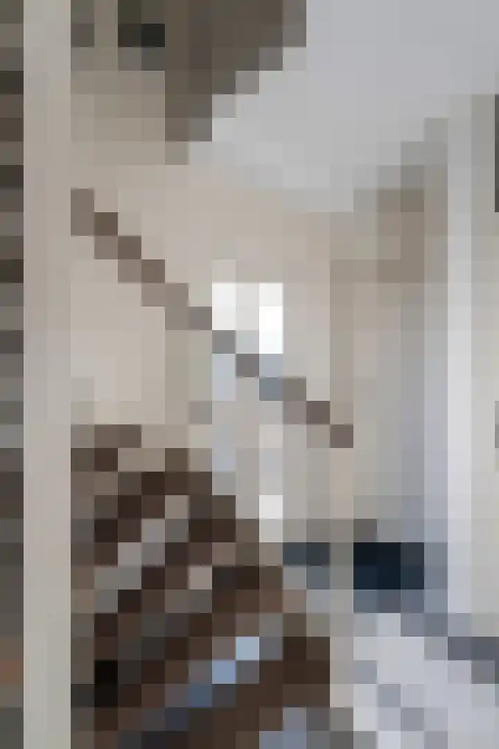 Strekel 20 Delfzijl thumbnail 17