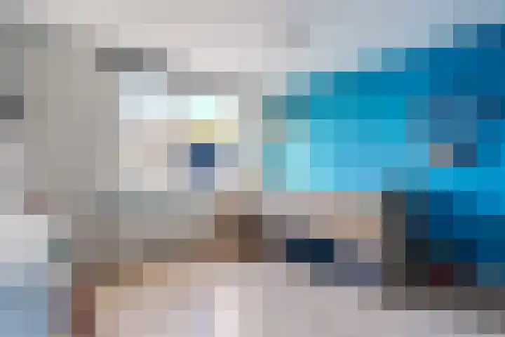 Strekel 20 Delfzijl thumbnail 25