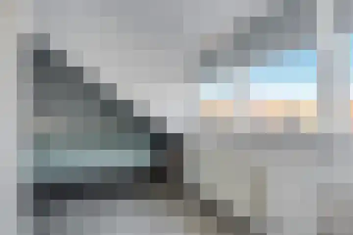 Strekel 20 Delfzijl thumbnail 31