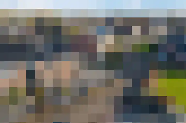 Strekel 20 Delfzijl thumbnail 37