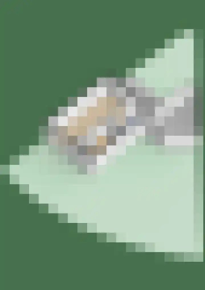 Strekel 20 Delfzijl thumbnail 41