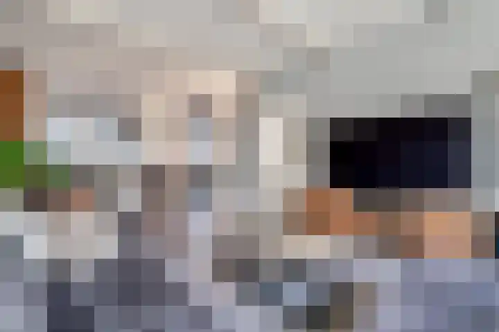Strekel 20 Delfzijl thumbnail 6