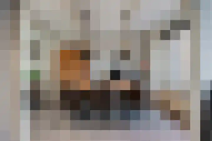 Strekel 20 Delfzijl thumbnail 9