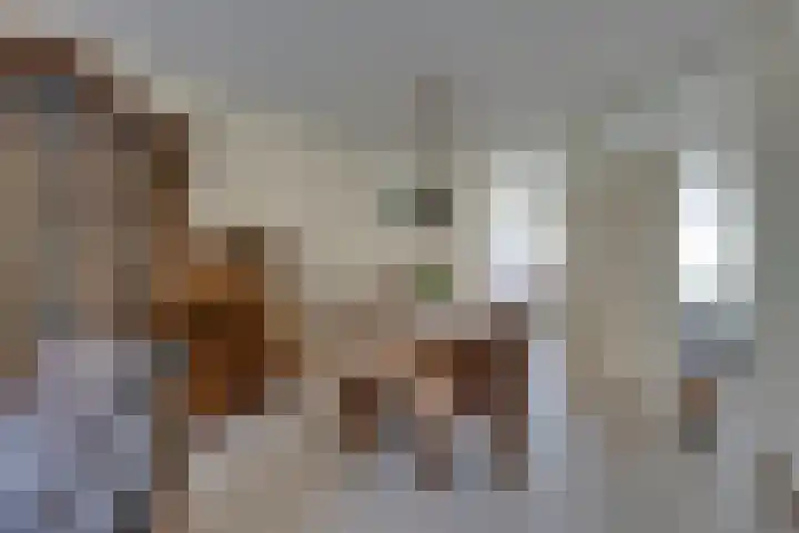 Strekel 20 Oostzaan thumbnail 12