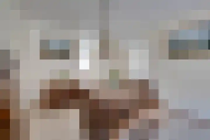 Strekel 20 Oostzaan thumbnail 13
