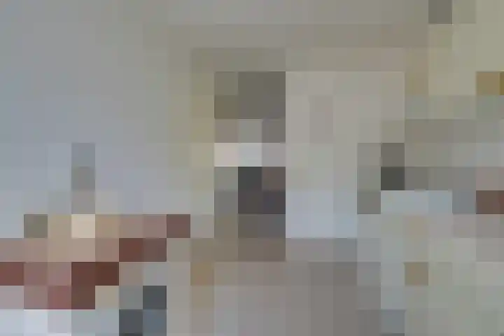 Strekel 20 Oostzaan thumbnail 16