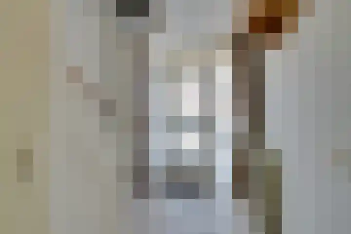 Strekel 20 Oostzaan thumbnail 34
