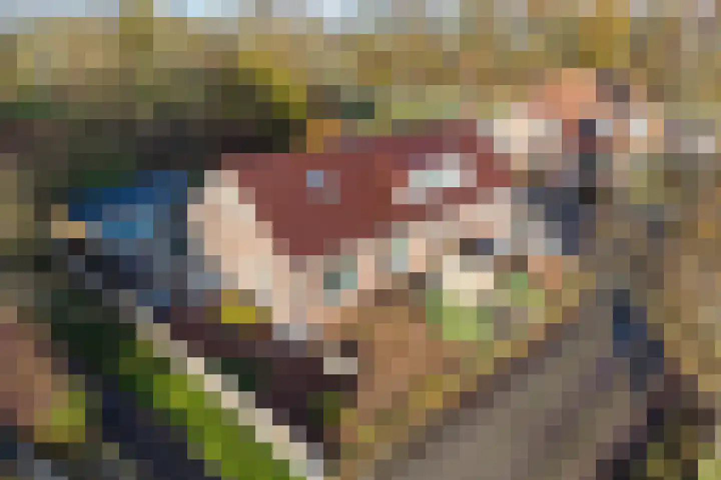 Strekel 25 Delfzijl thumbnail 8