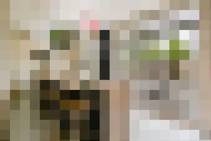 Strekel 3 Oostzaan thumbnail 10