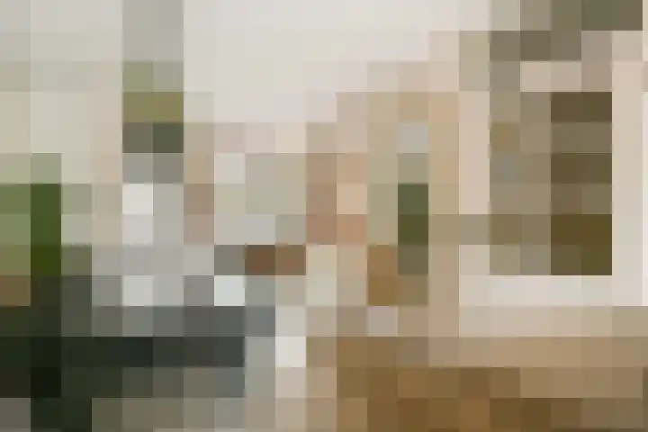 Strekel 3 Oostzaan thumbnail 13