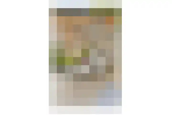 Strekel 3 Oostzaan thumbnail 18