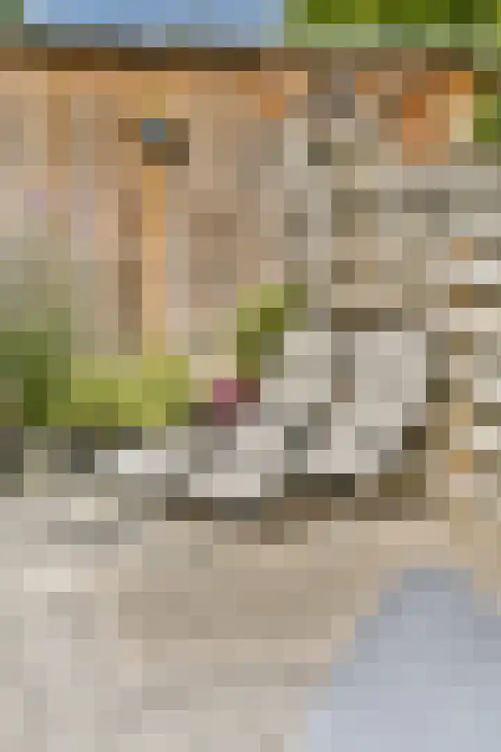 Strekel 3 Oostzaan thumbnail 19