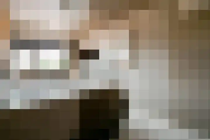 Strekel 3 Oostzaan thumbnail 22