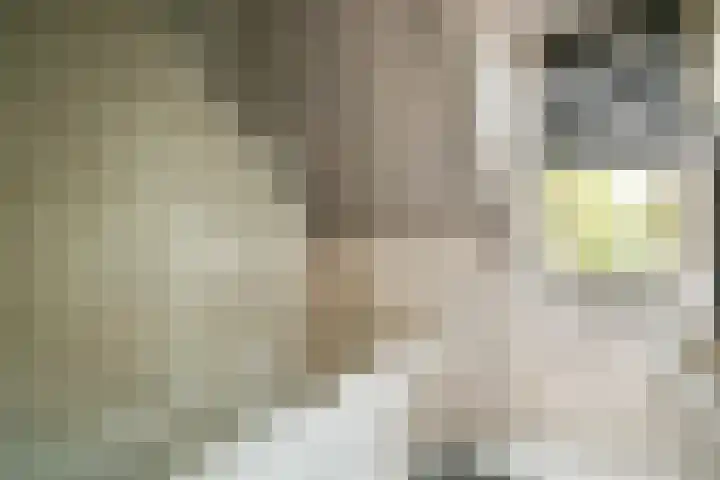 Strekel 3 Oostzaan thumbnail 23