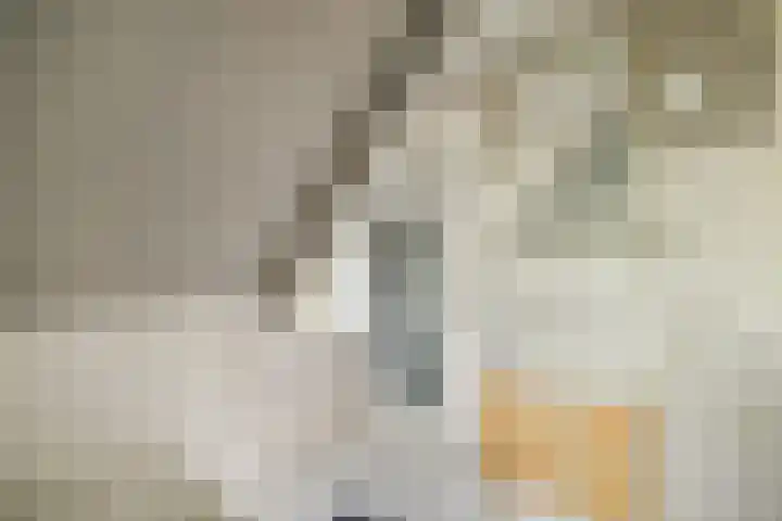 Strekel 3 Oostzaan thumbnail 24