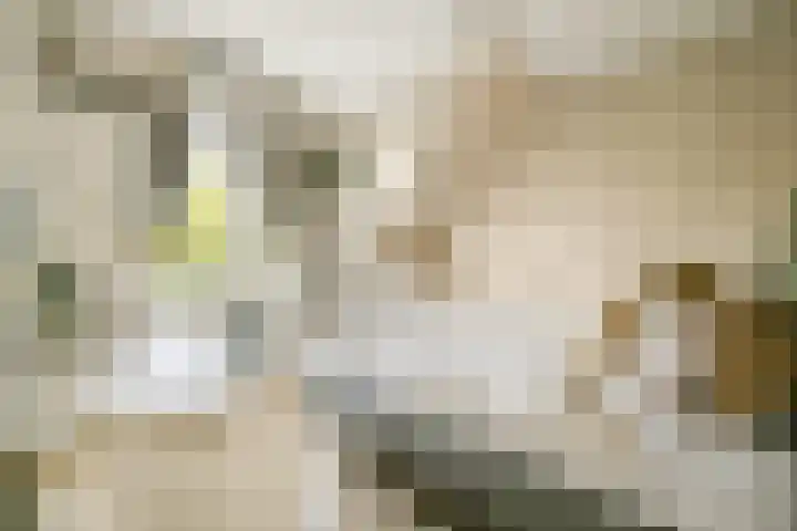 Strekel 3 Oostzaan thumbnail 26