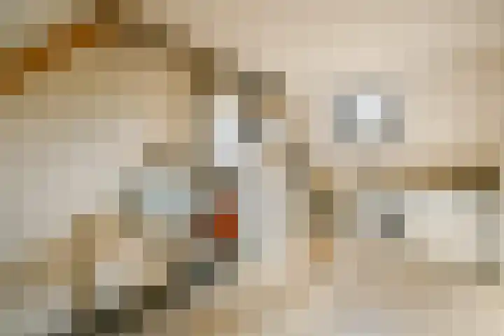 Strekel 3 Oostzaan thumbnail 30