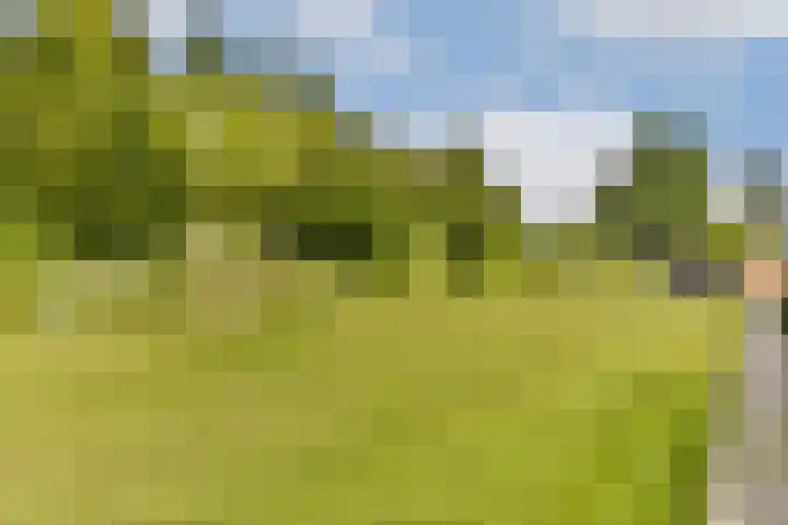 Strekel 3 Oostzaan thumbnail 31