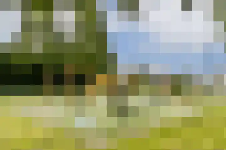 Strekel 3 Oostzaan thumbnail 32